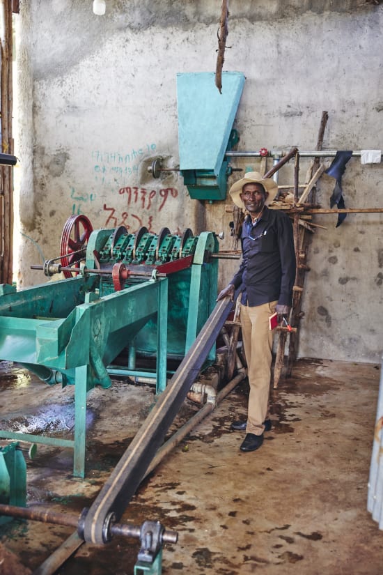 Sidama Special Prep Ethiopia- Light Roast