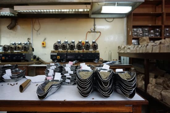 Muranga, Kenya - Light Roast