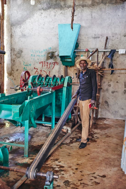 Sidama Special Prep Ethiopia- Light Roast